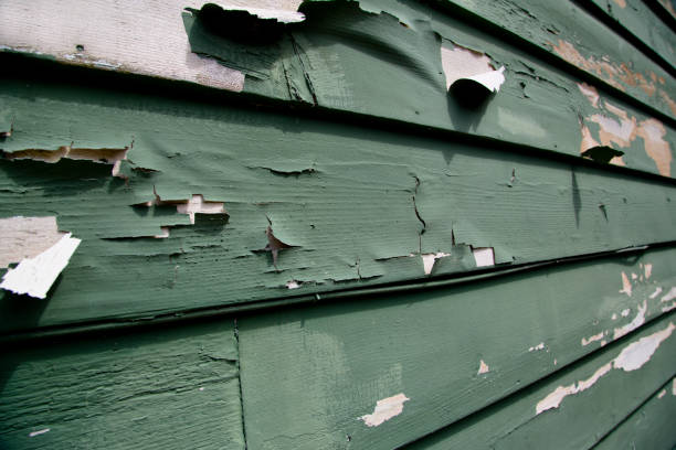 Affordable Siding Repair and Maintenance Services in Liberty Corner, NJ